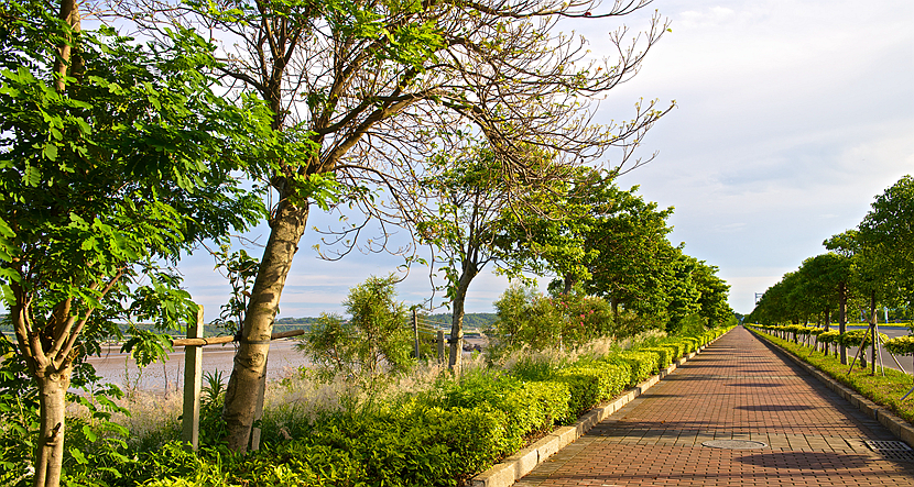 珠?！こ鞘芯G化景觀提升工程